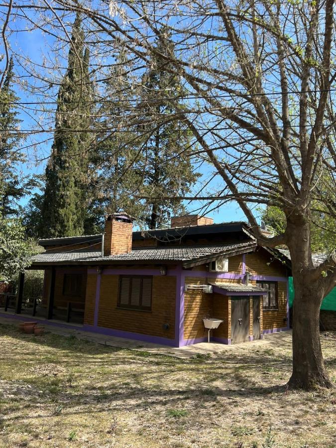 Complejo Cabanas Del Valle 圣罗莎卡拉穆奇塔县 外观 照片